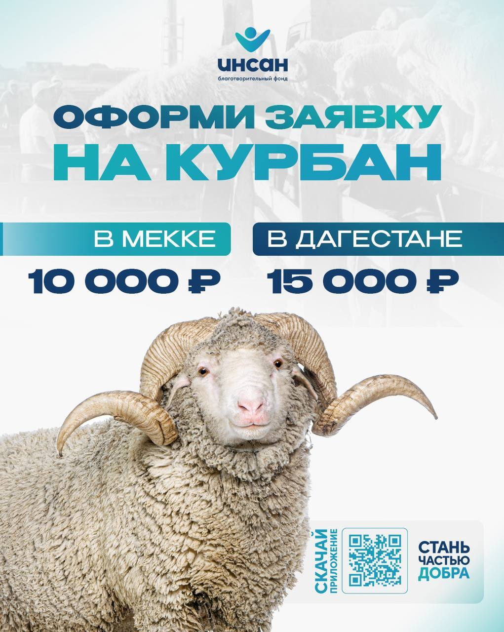 Совершите курбан легко — с фондом «Инсан» 